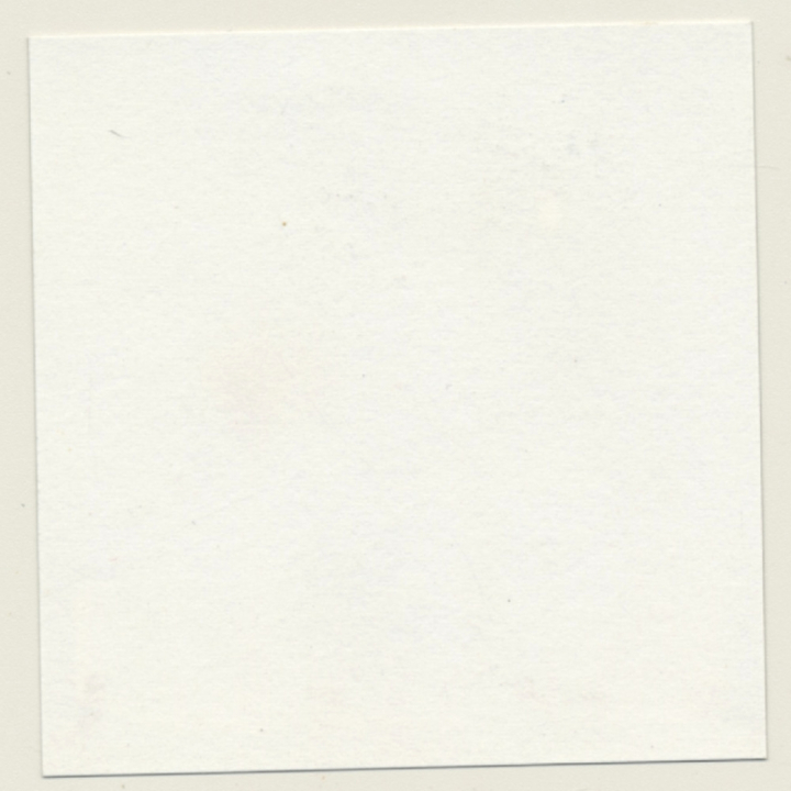 Mistress & Blonde Maid In Bondage*7 / Catfight - BDSM (Vintage Contact Sheet Photo 1970s)