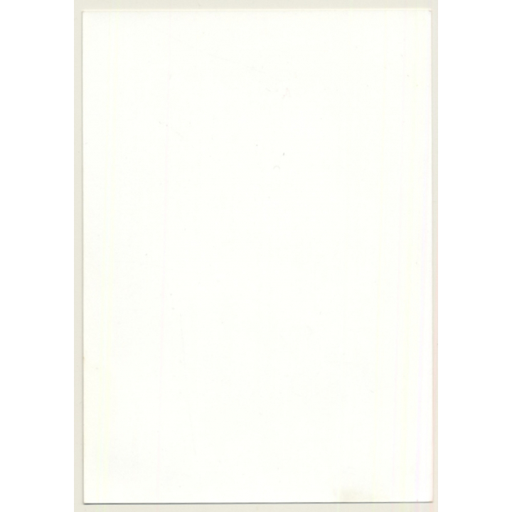 Busty Dark-Skinned Semi Nude*1 / Fishnet Body (Vintage Photo ~1990s)