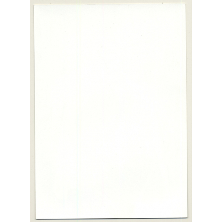 Busty Dark-Skinned Semi Nude / Tanga - Braids (Vintage Photo ~1990s)