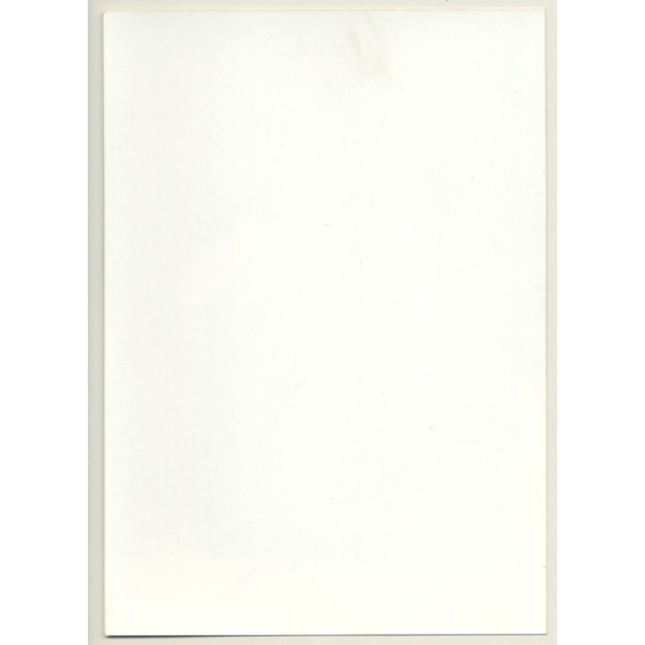 Busty Dark-Skinned Semi Nude*2 / Tanga - Braids (Vintage Photo ~1990s)