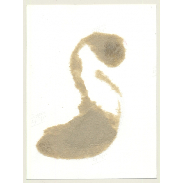 Kneeling Maid In Hogtie Bondage Gets A Spanking From Mistress / BDSM (2nd Gen.Photo ~1960s)