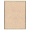Florence / Italy: Hotel Castri Firenze (Vintage Luggage Label)