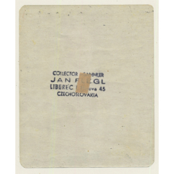 Zaragoza / Spain: Hotel Goya*2 (Vintage Luggage Label)