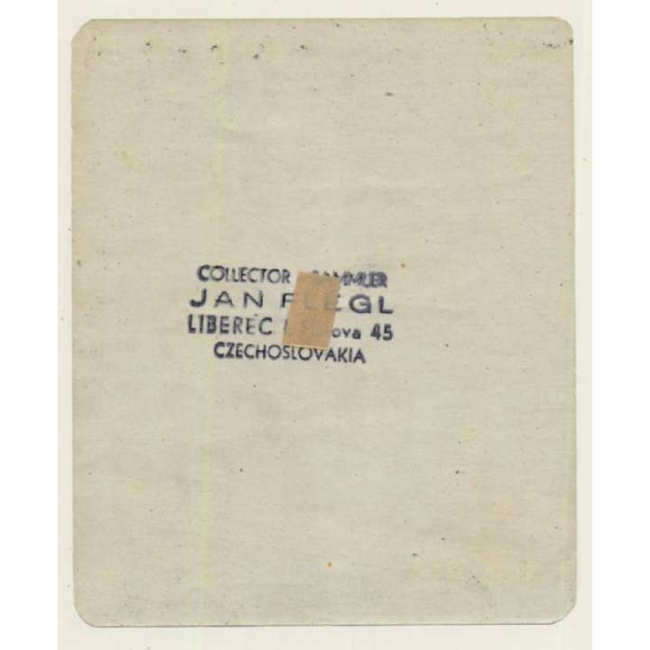 Zaragoza / Spain: Hotel Goya*2 (Vintage Luggage Label)