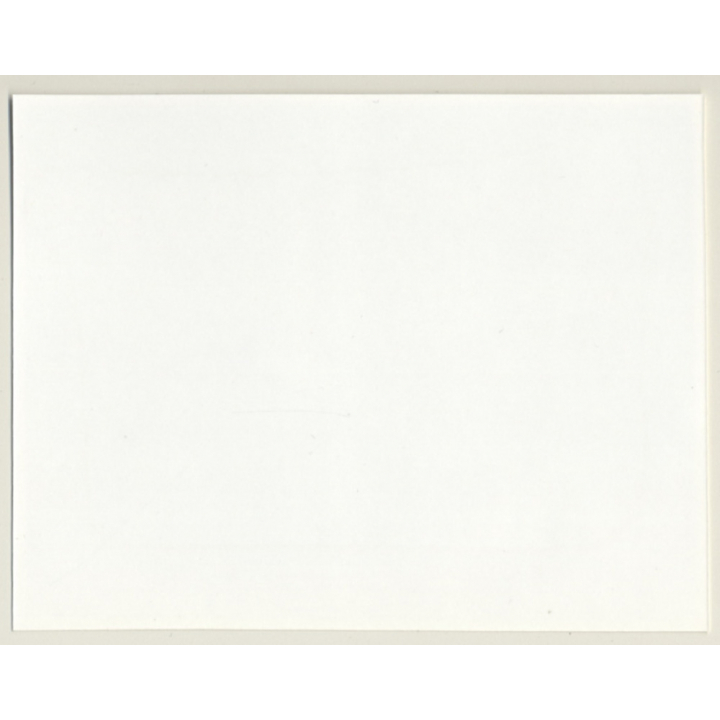 Irving Klaw: Mistress Spanking Maid In Straight Jacket 4537 / Pin-Up - BDSM (Vintage Photo USA)