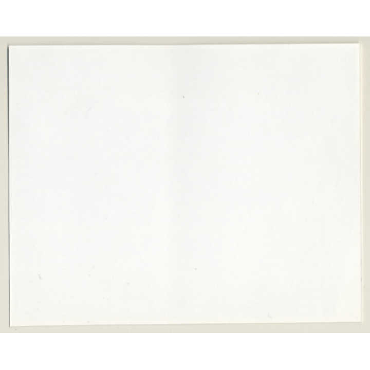 Irving Klaw: Bettie Page In Black Bustier & Gloves EE-381 / Pin-Up - BDSM (Vintage Photo USA)