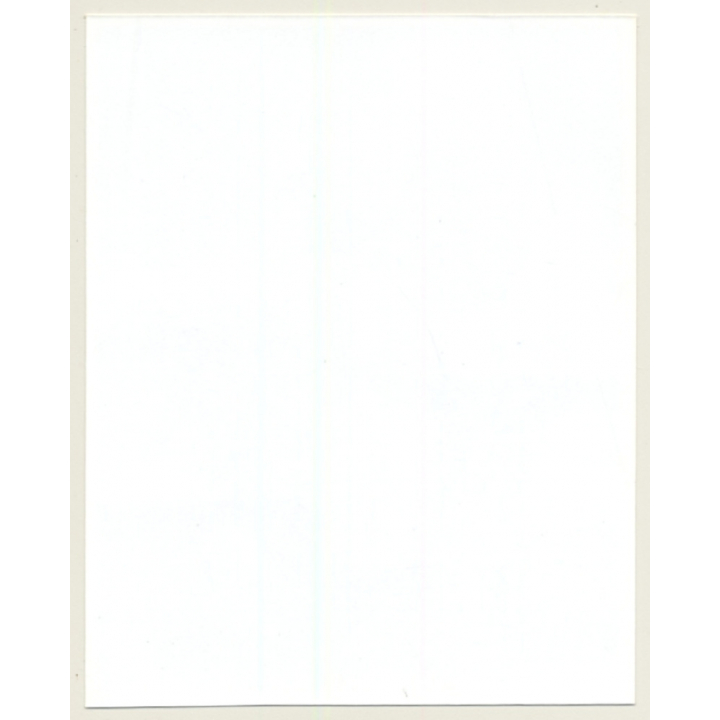 Irving Klaw: Domina Closing Straight Jacket Of Blonde Maid 4533 / Pin-Up - BDSM (Vintage Photo USA)