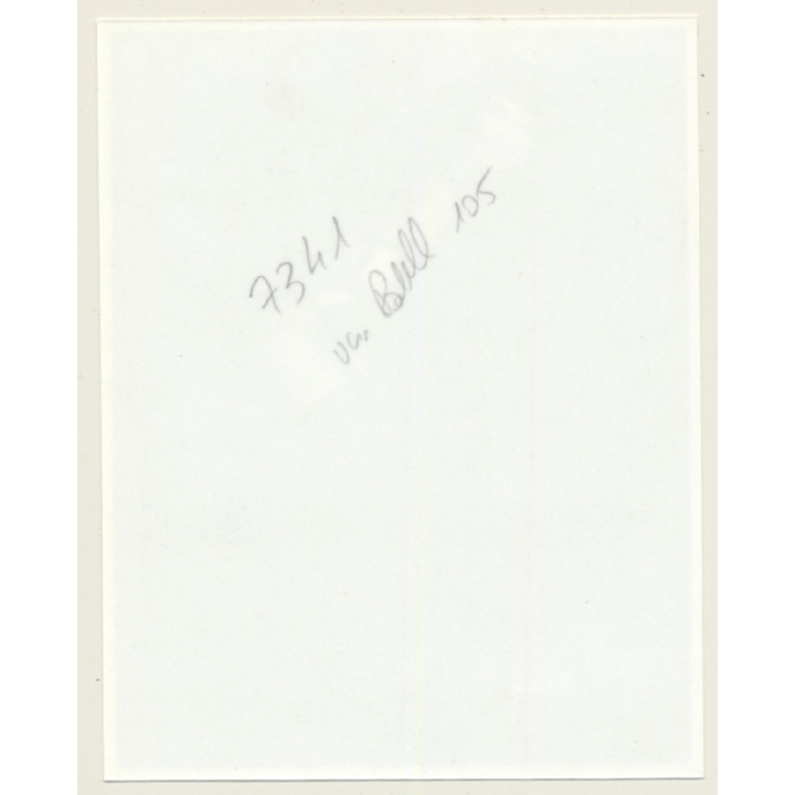 Irving Klaw: Bettie Pages Smiling At Camera 7343 / Pin-Up - BDSM (Vintage Photo USA)