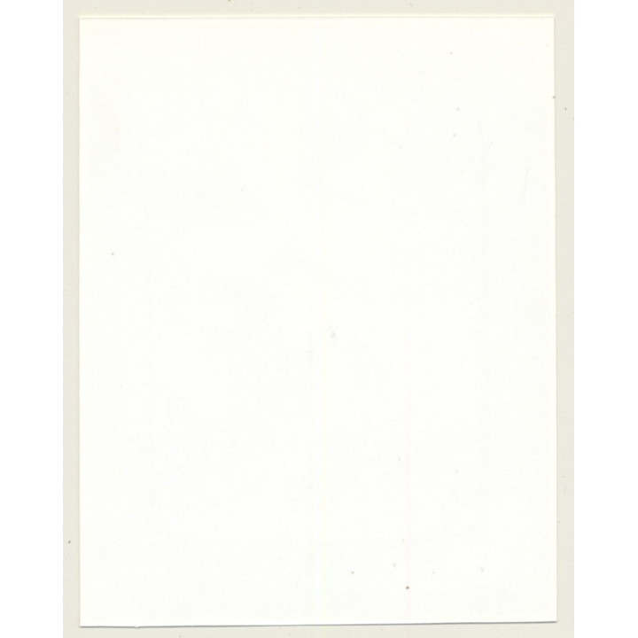 Irving Klaw: Stunning Bettie Page F-351 / Pin-Up - BDSM (Vintage Photo USA)