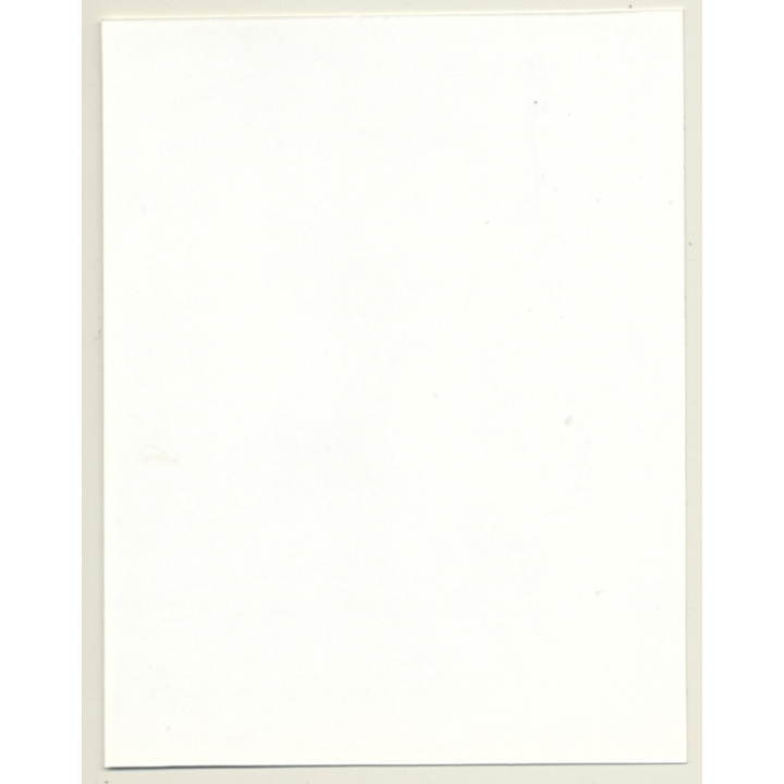 Irving Klaw: Bettie Page Wiggles Her Butt F-333 / Pin-Up - BDSM (Vintage Photo USA)