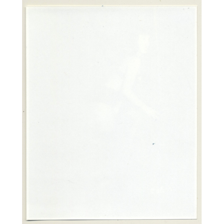 Irving Klaw: Bettie Page Shouting F-329 / Pin-Up - BDSM (Vintage Photo USA)