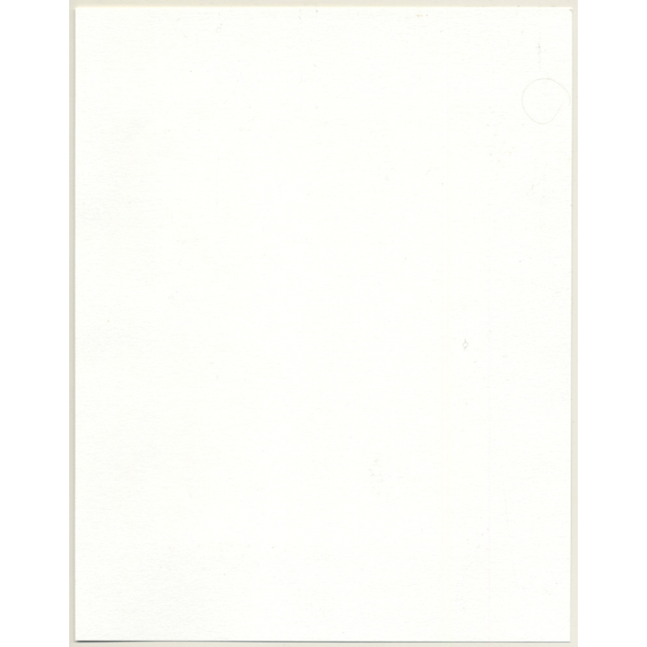 R.Folco: Natural Nude Woman Standing (Vintage Photo France 1970s)