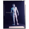 Rear View: Muscular Nude Man Painted Silver*1 / Gay INT (Vintage Diapositive 1970s/1980s)
