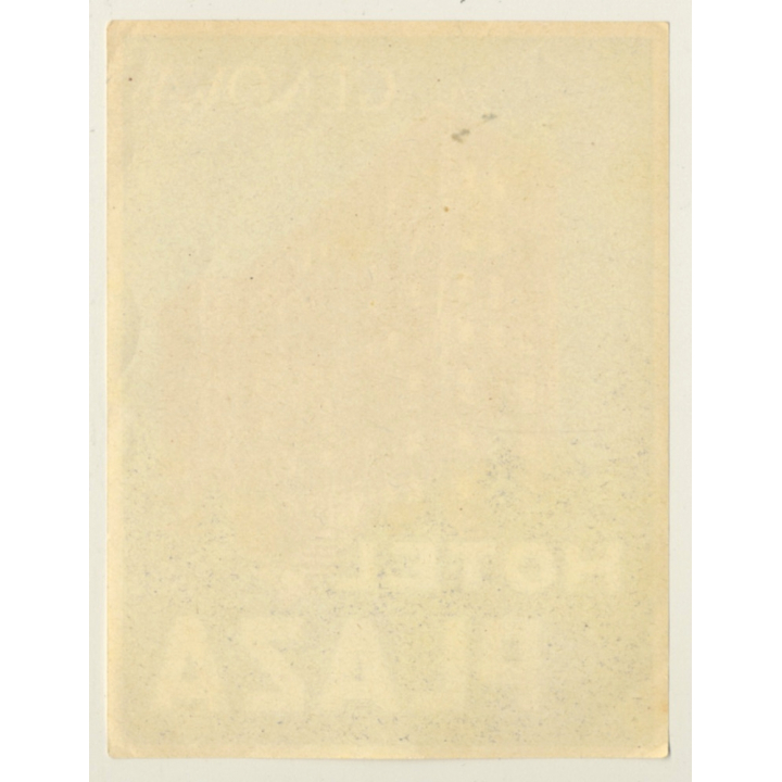 Genova / Italy: Hotel Plaza (Vintage Luggage Label ~1950s)