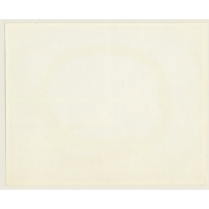 Irving Klaw: Tall Brunette Stretches Out On Floor EVE ADAMS-18 / Pin-Up - BDSM (Vintage Photo USA)