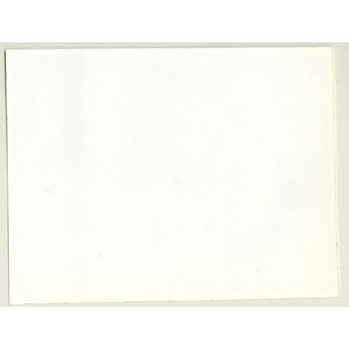 Irving Klaw: Happy Maid In Lounge Chair FRITZI M-13 / Pin-Up - BDSM (Vintage Photo USA)