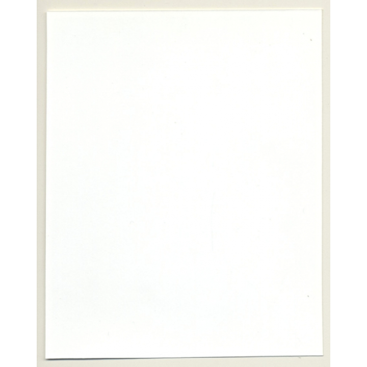 Irving Klaw: Tall Maid With Whip DOLLY-3 / Pin-Up - BDSM (Vintage Photo USA)