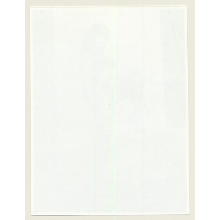 Irving Klaw: Bettie Page Holds Up One Leg E-980 / Pin-Up - BDSM (Vintage Photo USA)