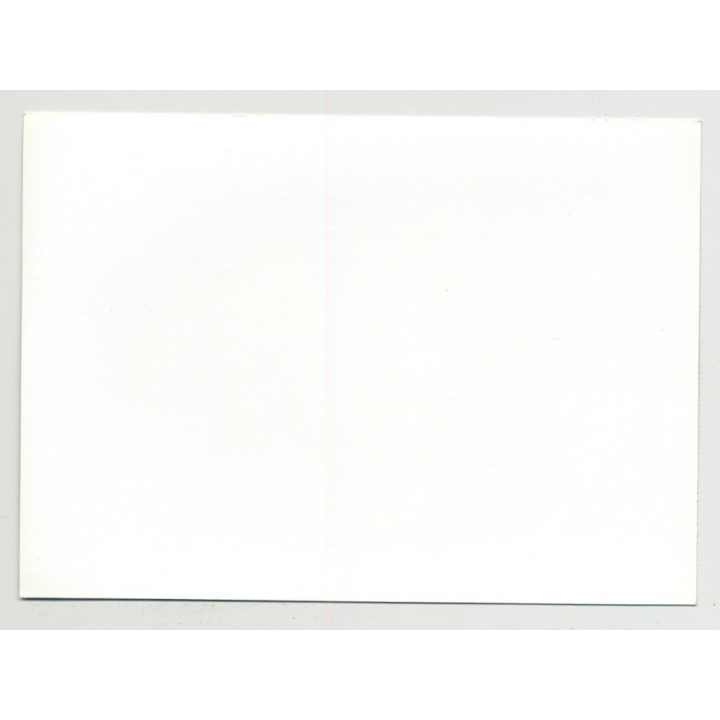 Rear View Of Racy Nude Curlyhead On 70s Carpet / Butt (Amateur Photo DDR 70s/80s)