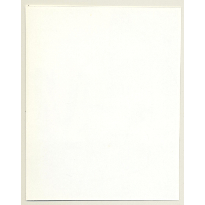 Irving Klaw: Bettie Page Laying On Her Belly E-973 / Pin-Up - BDSM (Vintage Photo USA)