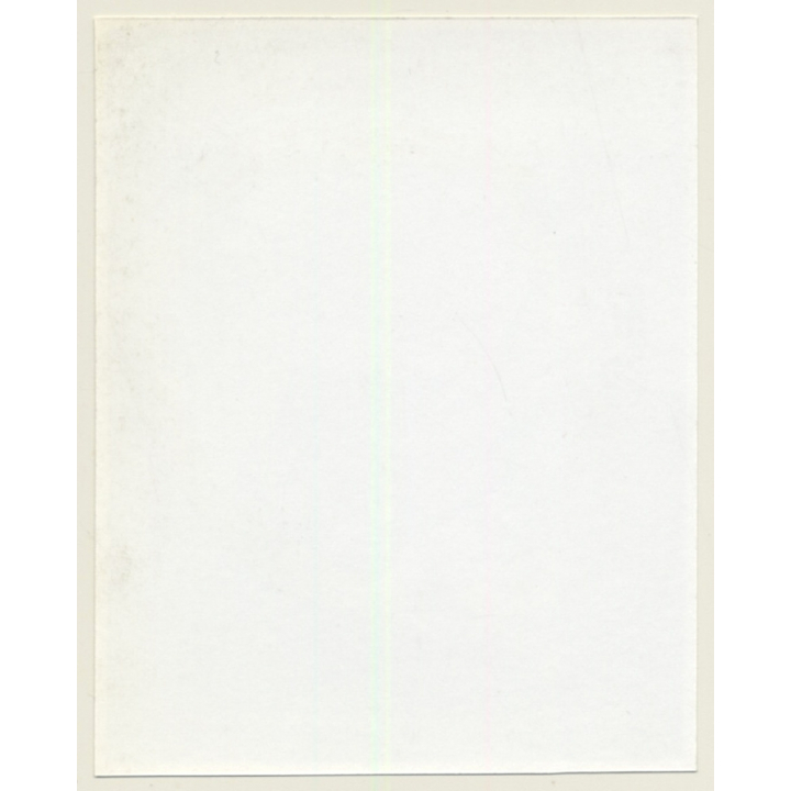 Irving Klaw: Blonde Maid In Lingerie GINA R-9 / Pin-Up - BDSM (Vintage Photo USA)