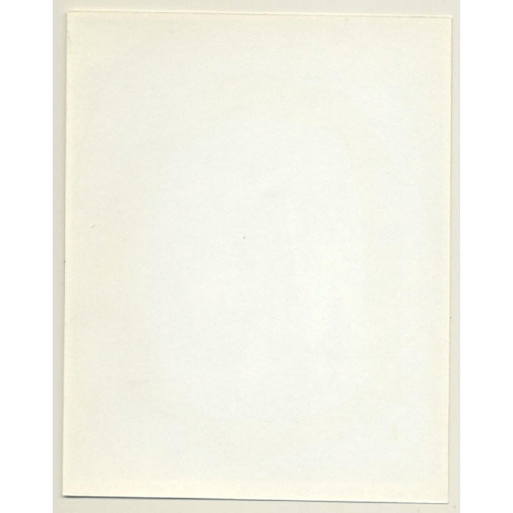 Irving Klaw: Mature Blonde Maid With Whip HONEY-27 / Pin-Up - BDSM (Vintage Photo USA)