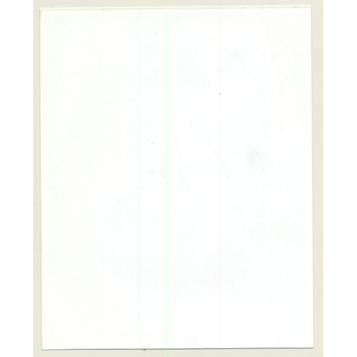 Irving Klaw: Shorthaired Female In Lingerie DESIREE-24 / Pin-Up - BDSM (Vintage Photo USA)