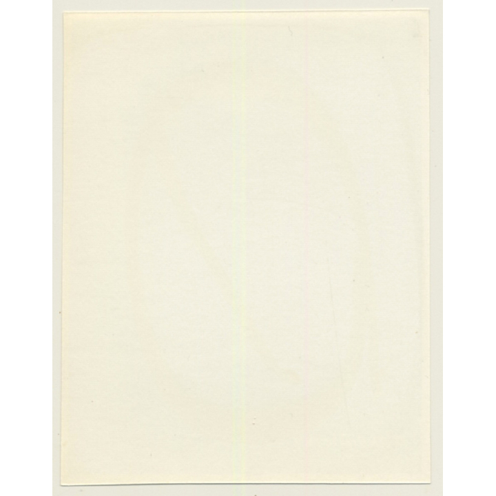 Irving Klaw: Blonde Mistress In Black Lingerie D.CHRISTIE.64 / Pin-Up - BDSM (Vintage Photo USA)