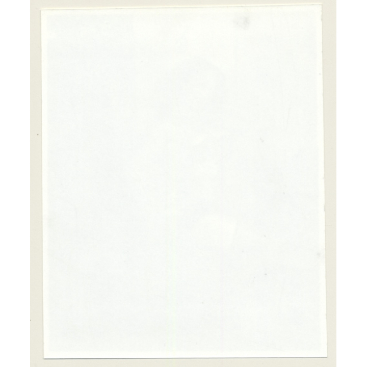 Irving Klaw: Happy Slim Maid In Lingerie JENNIE W-56 / Pin-Up - BDSM (Vintage Photo USA)