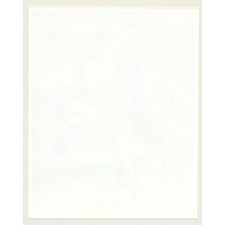 Irving Klaw: Blonde Maid Pulls Up Nylons LA SAVONA 26 / Pin-Up - BDSM (Vintage Photo USA)