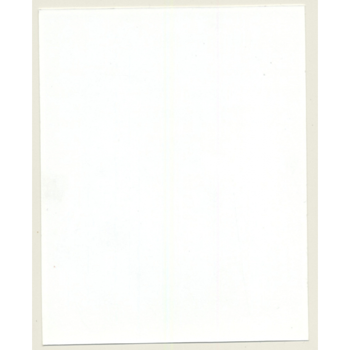 Irving Klaw: Rear View Of Racy Maid JACKIE MILLER-24 / Pin-Up - BDSM (Vintage Photo USA)