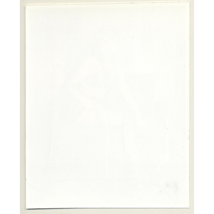 Irving Klaw: Mean Looking Mistress & Whip BA.P.203 / Pin-Up - BDSM (Vintage Photo USA)