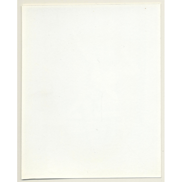 Irving Klaw: Chubby Blonde Mistress & Whip CEIL-20 / Pin-Up - BDSM (Vintage Photo USA)