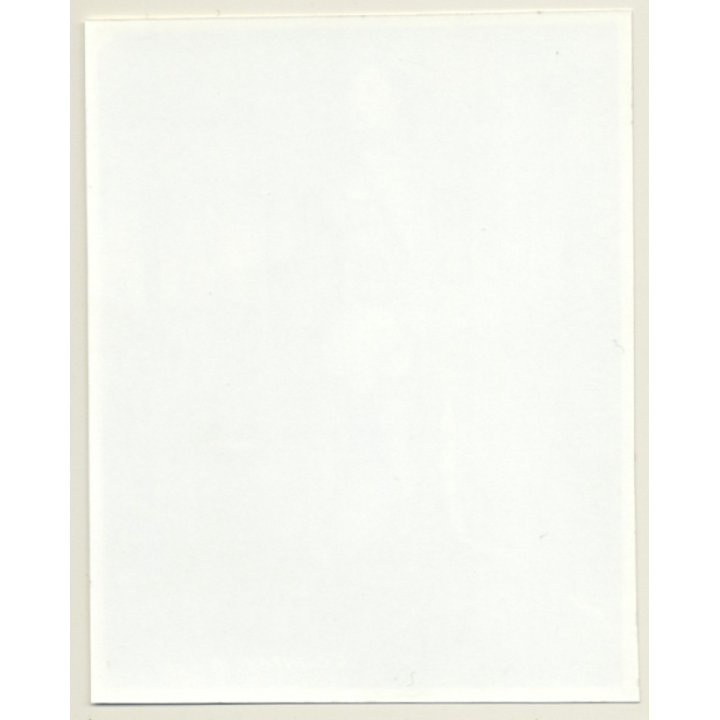 Irving Klaw: Mature Maid With Tull Drag COUNTESS B-4 / Pin-Up - BDSM (Vintage Photo USA)