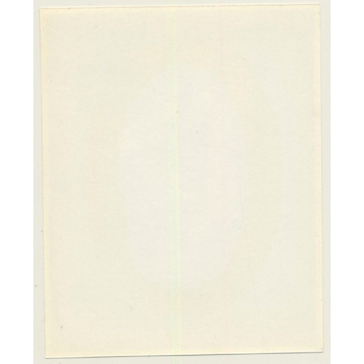 Irving Klaw: Brunette Maid In Lingerie D.CHRISTIE-13 / Pin-Up - BDSM (Vintage Photo USA)