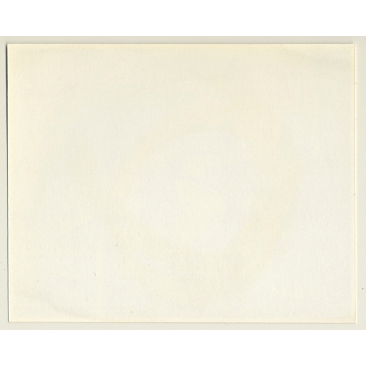 Irving Klaw: Darkhaired Mistress In Lingerie - Whip TANNY-40/ Pin-Up - BDSM (Vintage Photo USA)