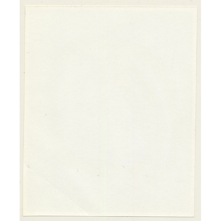 Irving Klaw: Chubby Maid In Bikini BA.P.75 / Pin-Up - BDSM (Vintage Photo USA)