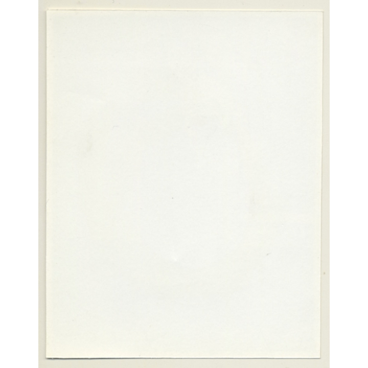 Irving Klaw: Lascivious Brunette Maid Checks On Her Nylons TEQUILA-5 / Pin-Up - BDSM (Vintage Photo USA)