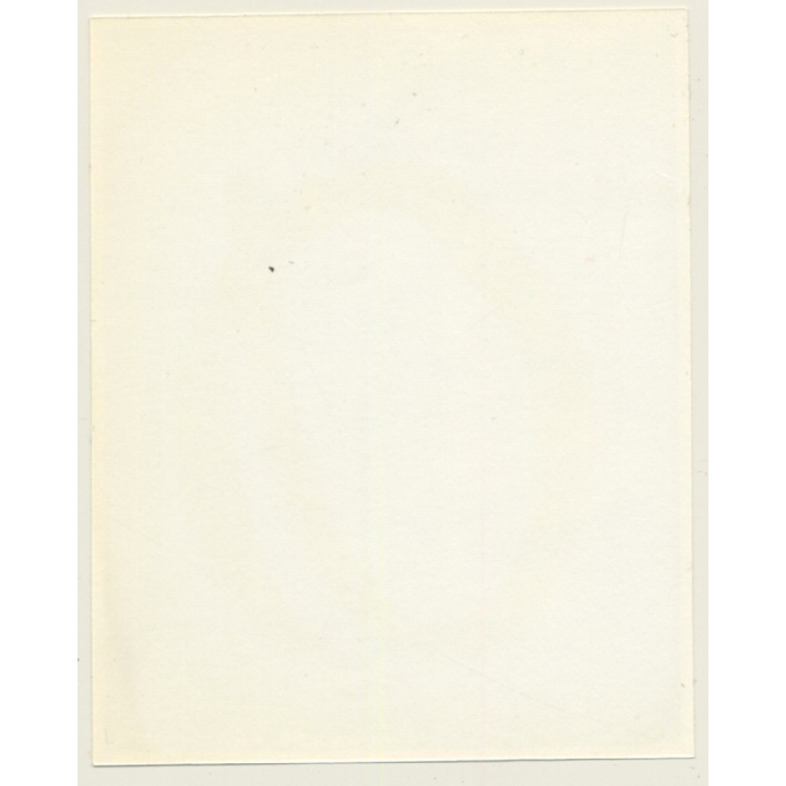 Irving Klaw: Sweet Maid In Fetish Lingerie SANDRA P-12 / Pin-Up - BDSM (Vintage Photo USA)