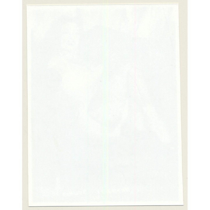 Irving Klaw: Gorgeous Maid In Lingerie TEMPEST STORM 195 / Pin-Up - BDSM (Vintage Photo USA)