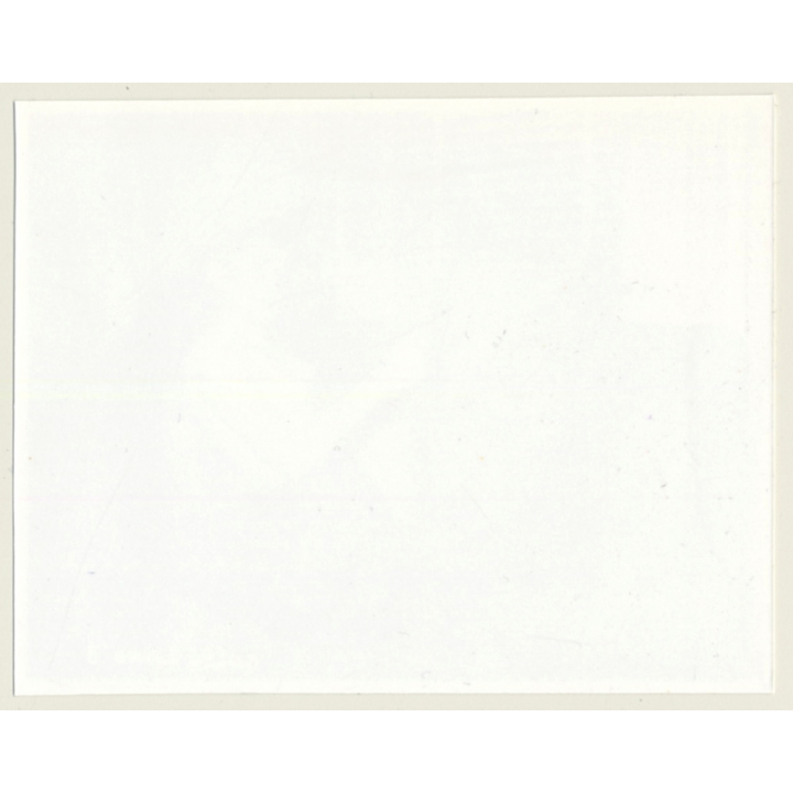 Irving Klaw: Longhaired Mistress With Whip SALLY LANE-3 / Pin-Up - BDSM (Vintage Photo USA)