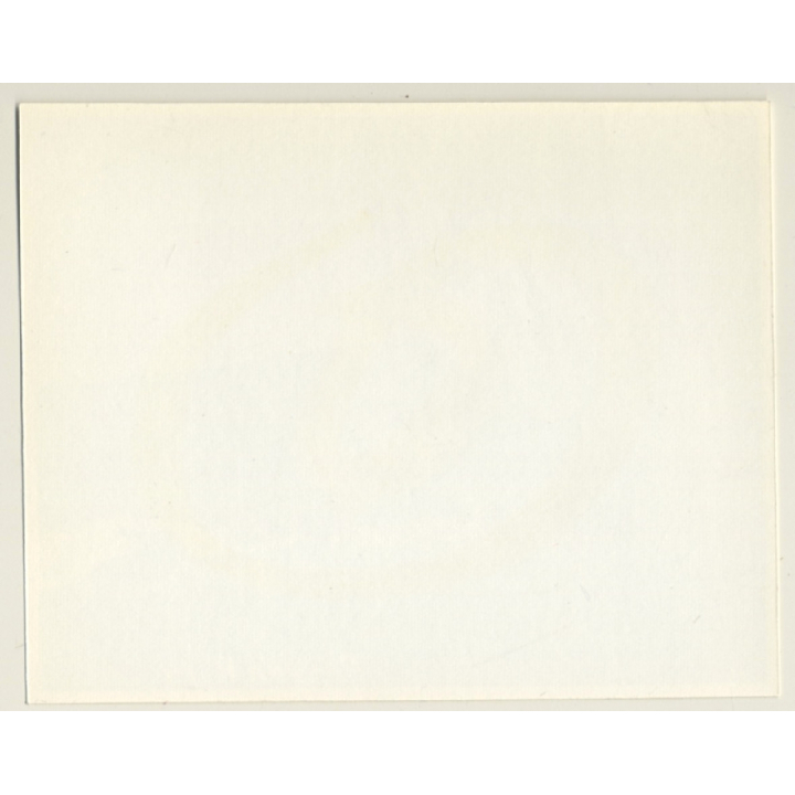 Irving Klaw: Tall Slim Brunette In Spandex Panties SANDRA P-14 / Pin-Up - BDSM (Vintage Photo USA)