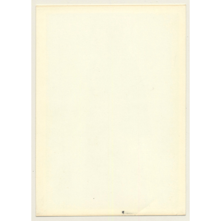 Series Of West German Fashion Photos 15: 1960s/1970s (Vintage Advertisement Photo)