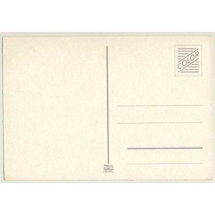 Busty Darkhaired Nude In Negligee / Pin-Up - Risqué (Vintage PC 1960s/1970s)