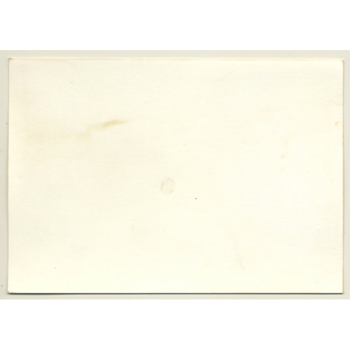 Paris: English Electric Lightning F53 G-AXEE Kuwait Air Force (Vintage Photo 1969)