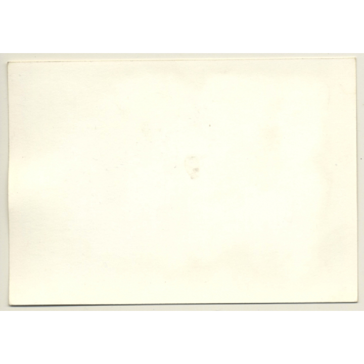 Paris Air Show: Brequet Atlantic ATL2 / Aviation (Vintage Photo 1969)