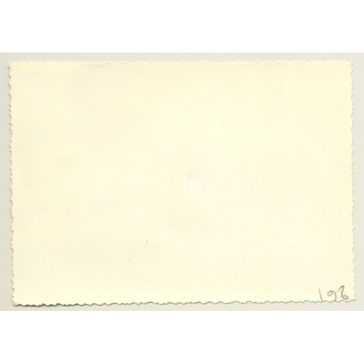 F-BMQR Moravan Zlin Z-326 Trener / Trainer Plane In Mountains (Vintage Photo 1960s)