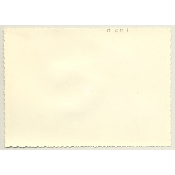 F-BMQR Moravan Zlin Z-326 Trener / Trainer Plane In Mountains*2 (Vintage Photo 1960s)