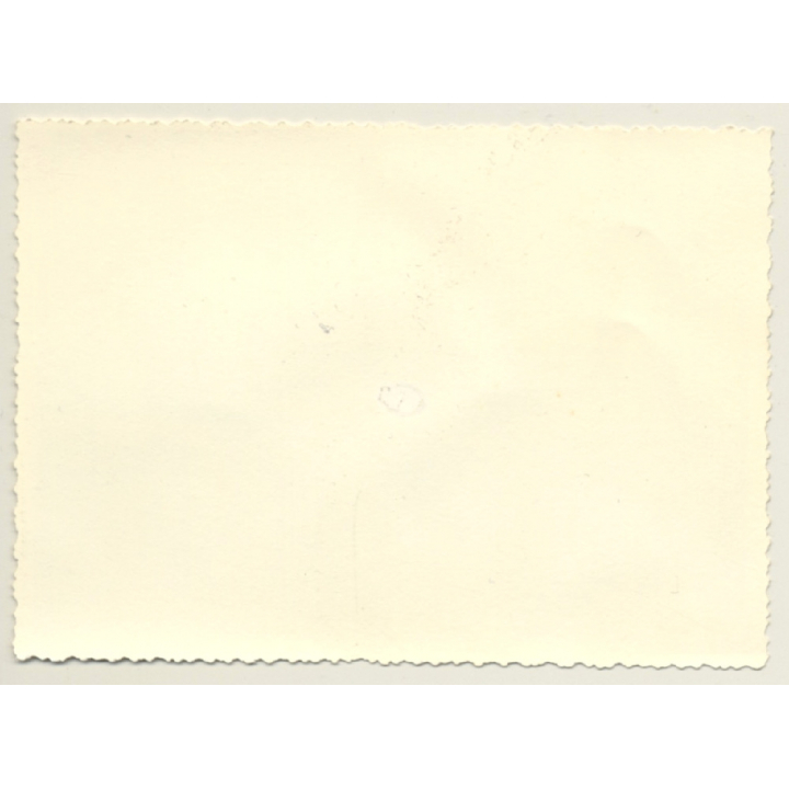 Flight School Chartres: F-BMQR Moravan Zlin Z-326 Trener (Vintage Photo 1960s)