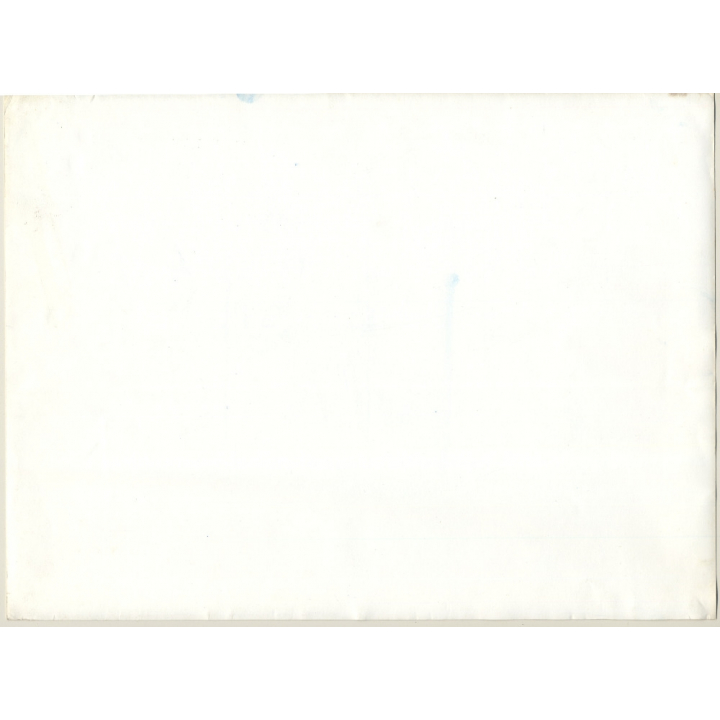 Jerri Bram (1942): Tree In Landscape I (Large Vintage Cyanotpye Photo ~1970s)